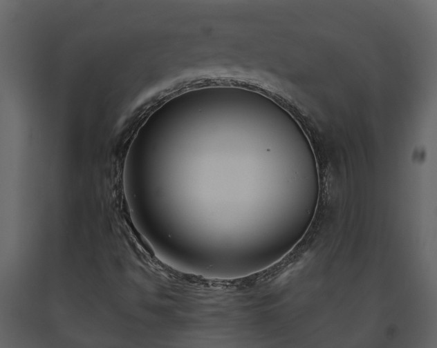 X0000093451494200710191051