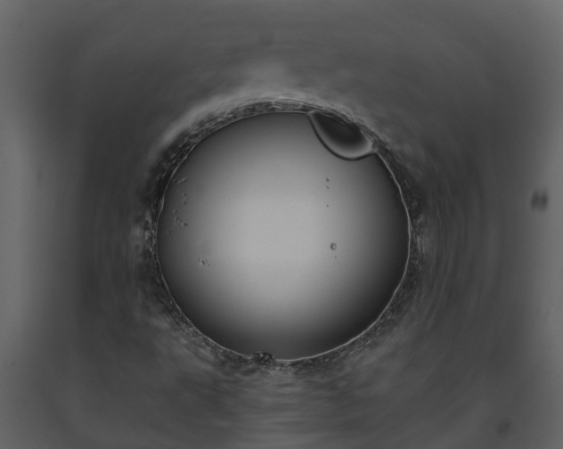 X0000093451495200710191051