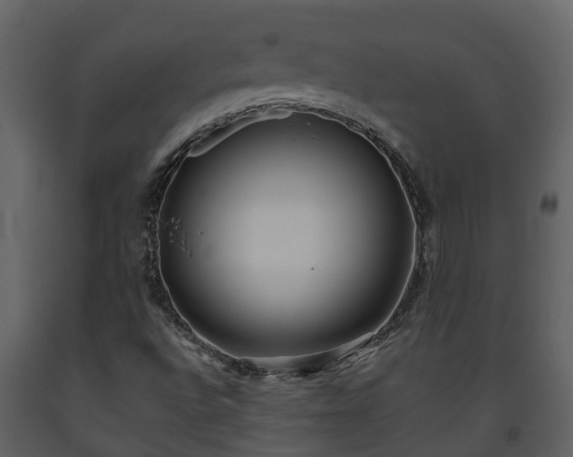 X0000093451496200710191051