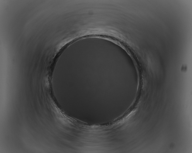 X0000093451497200710191051