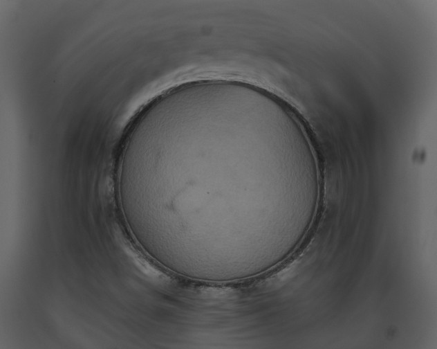 X0000093451498200710191051