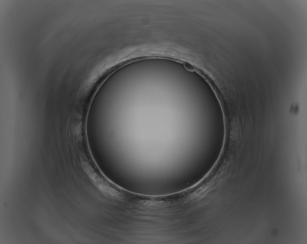 X0000093451499200710191051