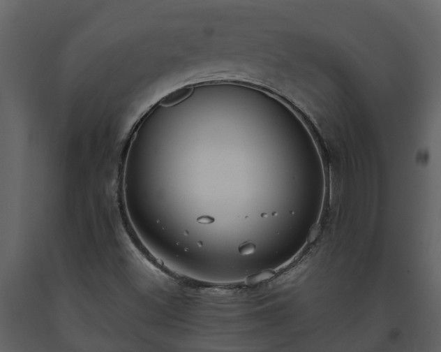 X0000093451500200710191051