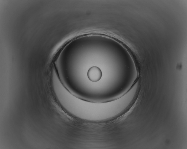 X0000093451502200710191051