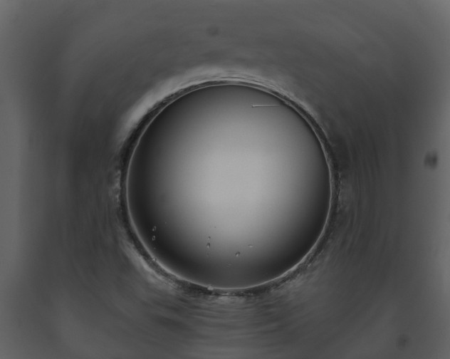 X0000093451503200710191051