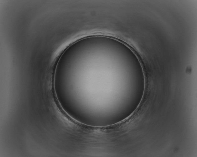 X0000093451504200710191051