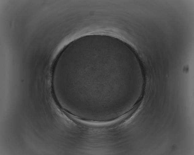 X0000093451506200710191052