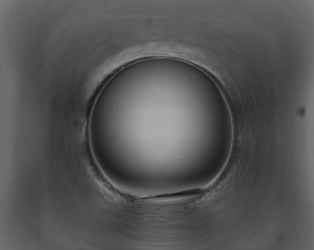 X0000093451507200710191052