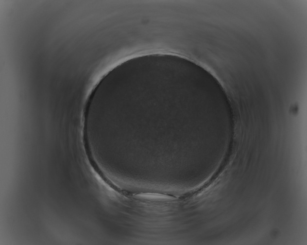 X0000093451508200710191052