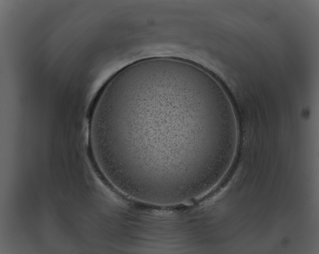 X0000093451509200710191052