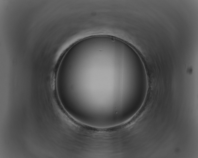 X0000093451510200710191052