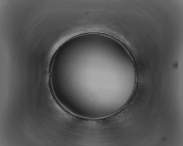 X0000093451512200710191052