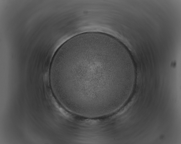 X0000093451513200710191052