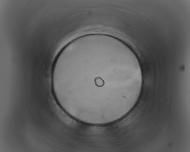 X0000093451514200710191052