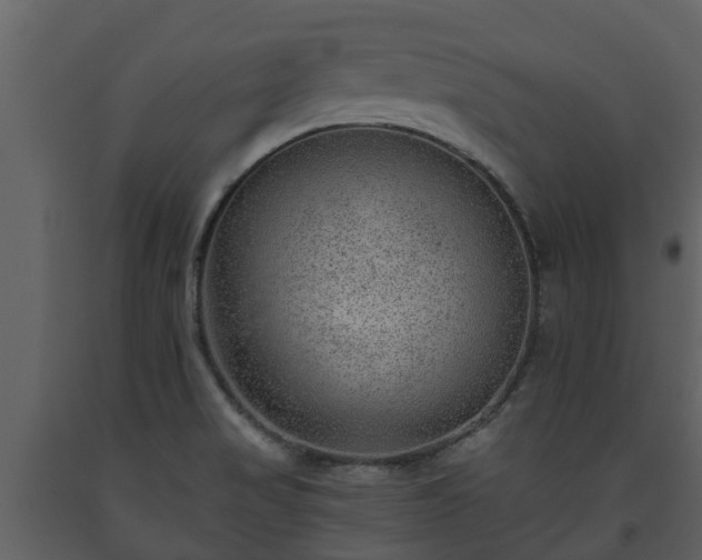 X0000093451517200710191052