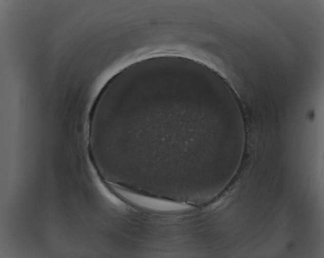 X0000093451519200710191052