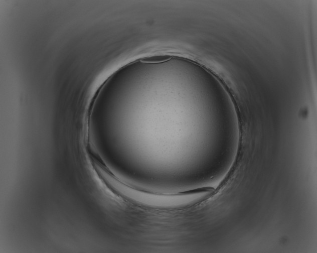 X0000093451520200710191052