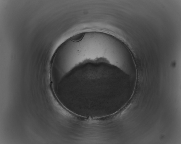 X0000093451522200710191052