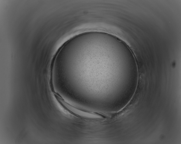 X0000093451523200710191052