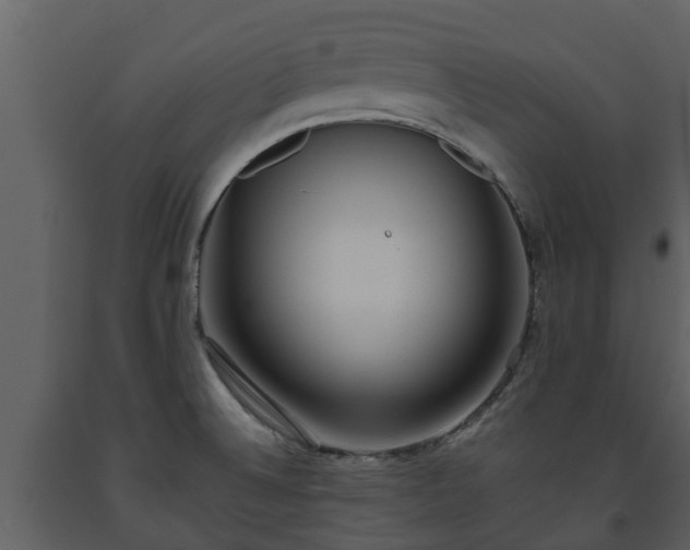 X0000093451524200710191052