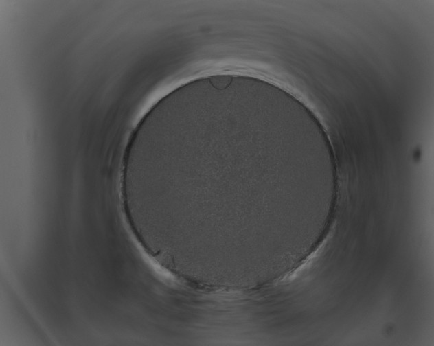 X0000093451525200710191052