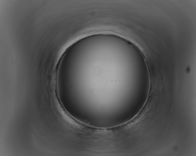 X0000093451526200710191052