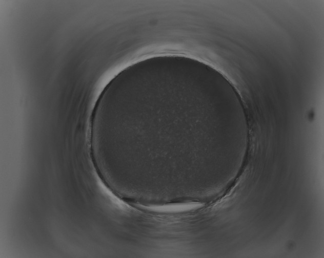 X0000093451527200710191052