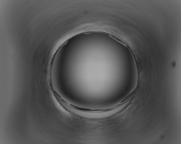 X0000093451528200710191052