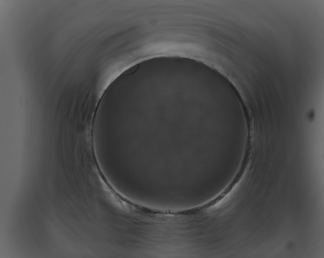 X0000093451529200710191052