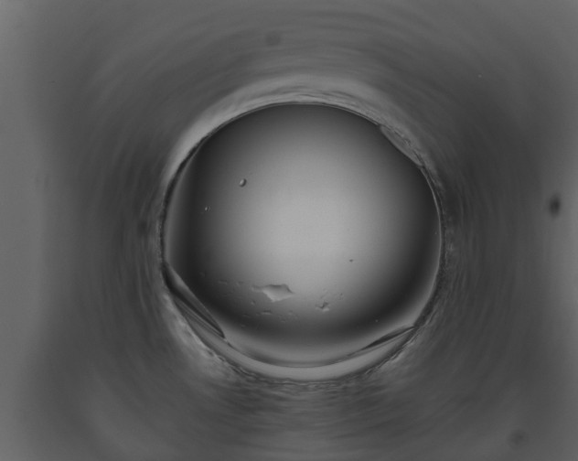 X0000093451530200710191052