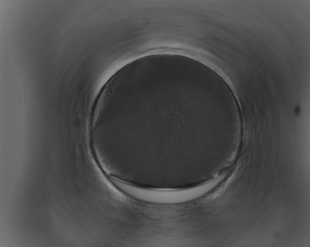 X0000093451533200710191052