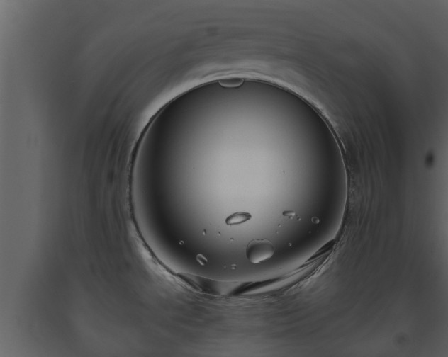 X0000093451534200710191052