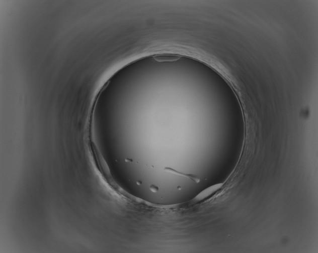 X0000093451536200710191052