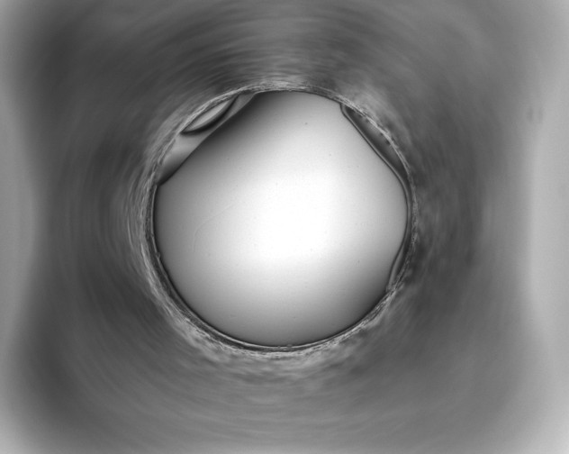 X0000093450001200710261111