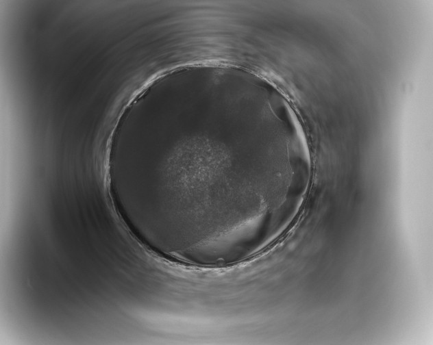 X0000093450002200710261111