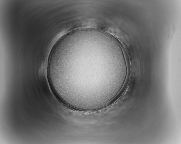 X0000093450003200710261111