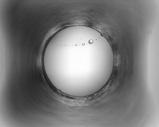 X0000093450004200710261111