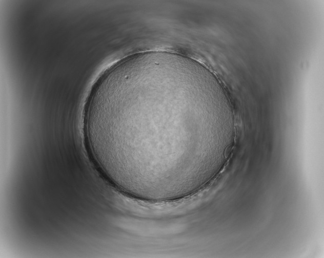 X0000093450006200710261111