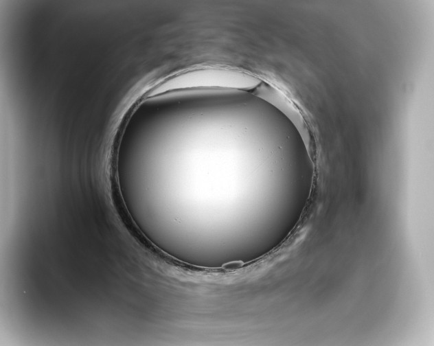 X0000093450007200710261111