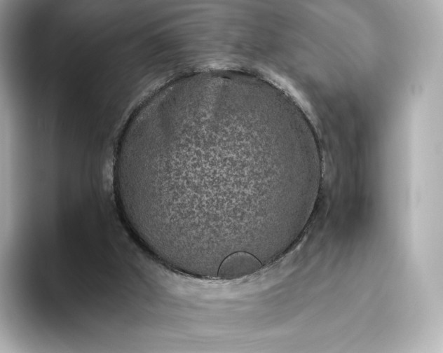 X0000093450010200710261110