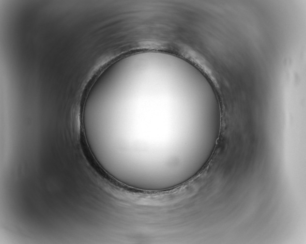 X0000093450011200710261110