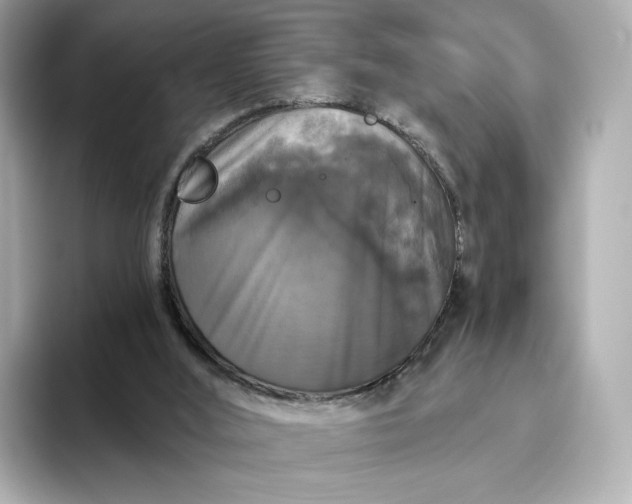 X0000093450012200710261110