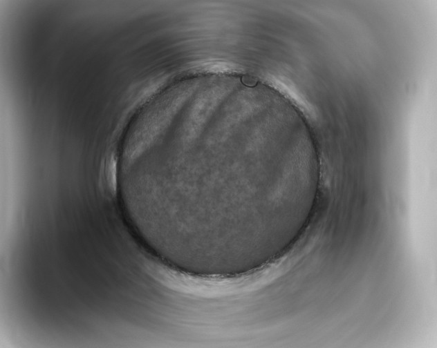 X0000093450014200710261110