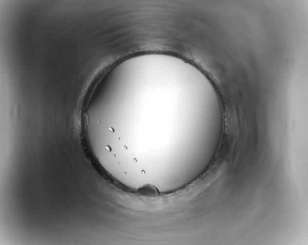 X0000093450015200710261110