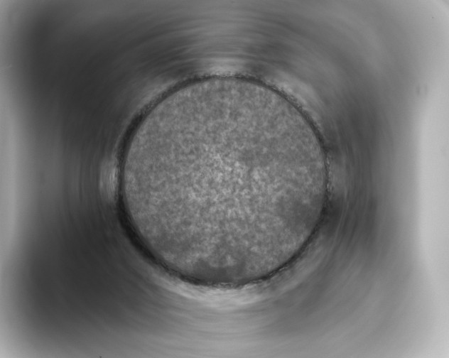 X0000093450016200710261110