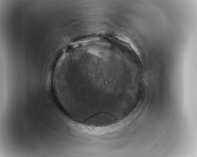 X0000093450018200710261110