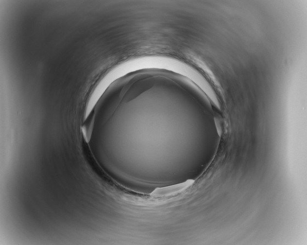 X0000093450019200710261110