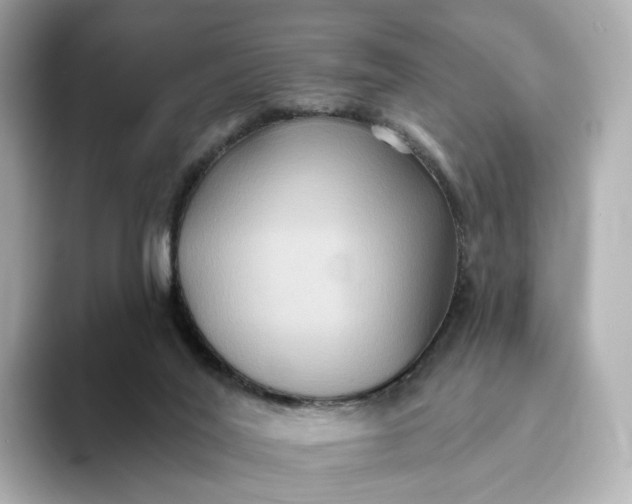 X0000093450020200710261110