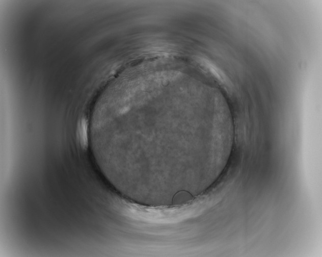 X0000093450022200710261110