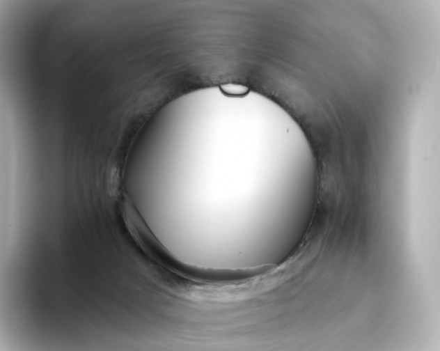 X0000093450025200710261110